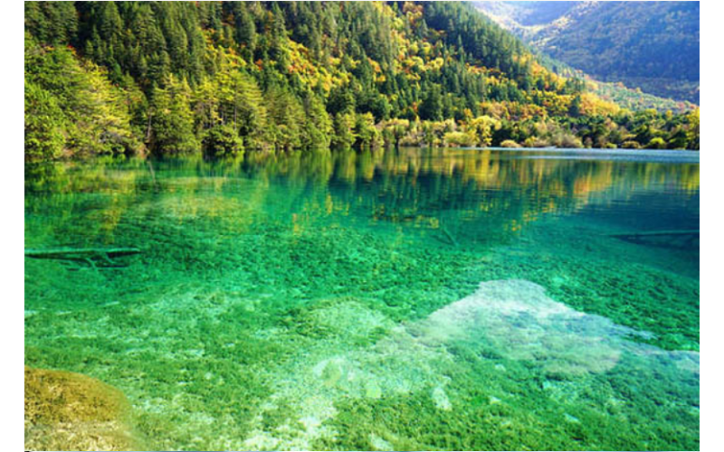 深模公司企业文化- “  和而不同 “