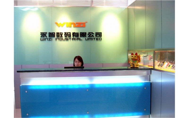 公司组织结构图，深圳市乐竞网页版入口厂的最初结构