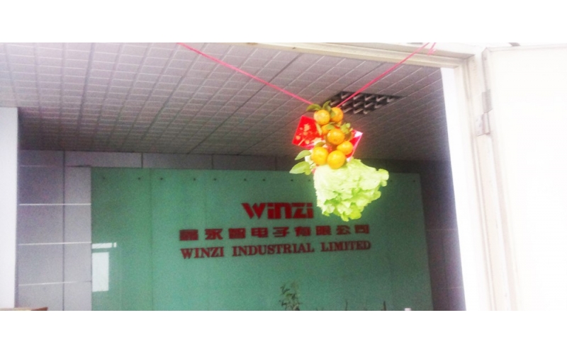 每年的翠海工业园都会有年初开业舞狮表演