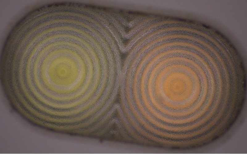 深圳市乐竞网页版入口厂-深模-二次元下的手机闪光灯罩